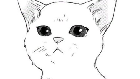 Рисунки для срисовки котик
