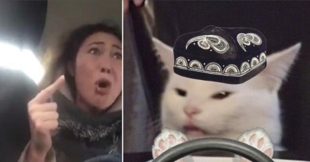 Казахский кот мем