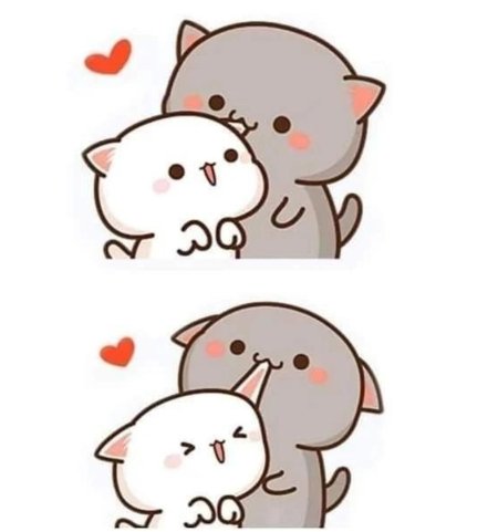 Кавайные котики любовь