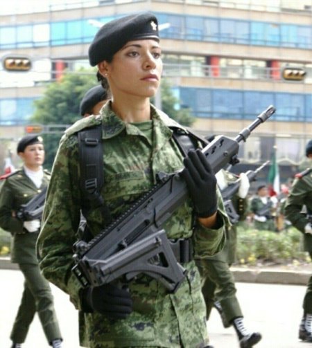 Мексиканская армия