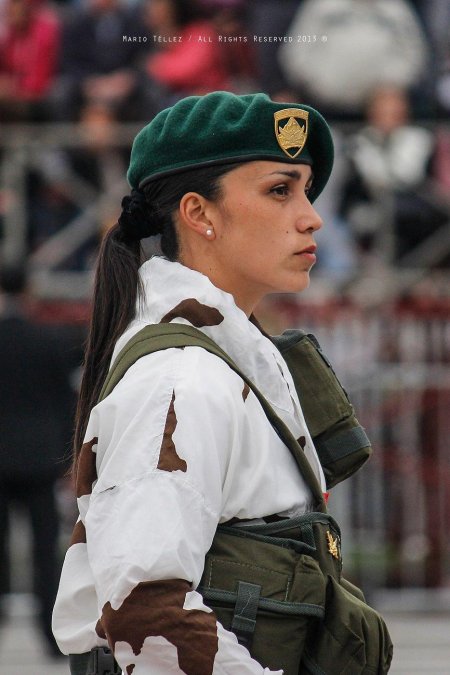 Форма армии чили