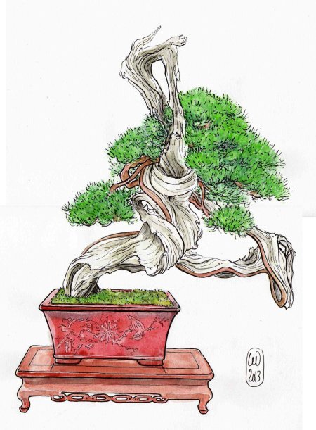 Бундзинги бонсай