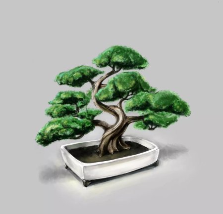 Бонсай эскиз