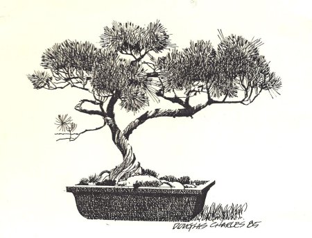 Бонсай карандашом