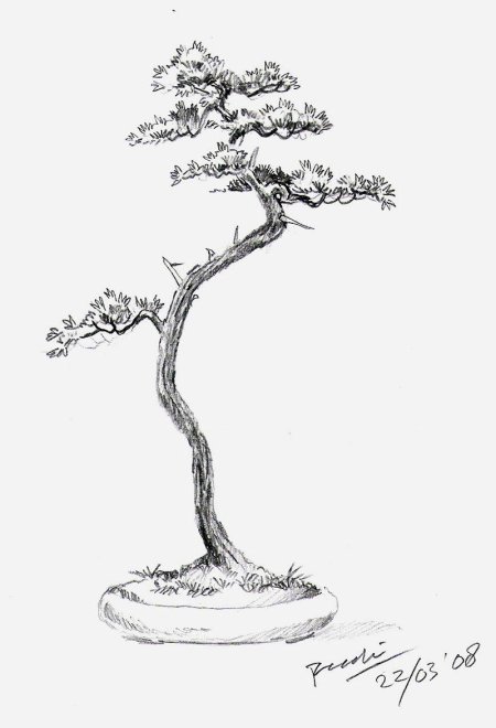 Японское дерево карандашом