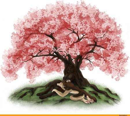Дерево сакуры геншин