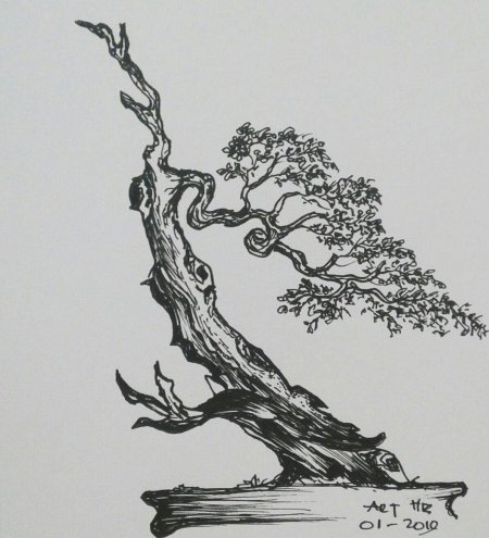 Бонсай скетч