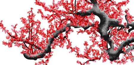 Сакура дерево