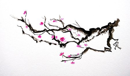 Ветка сакуры эскиз