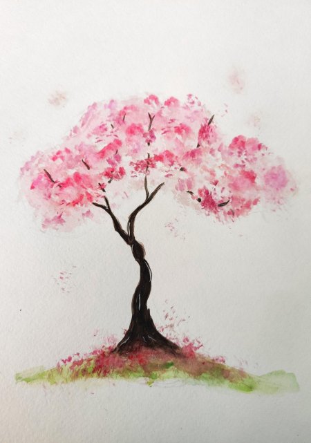 Сакура дерево рисунок