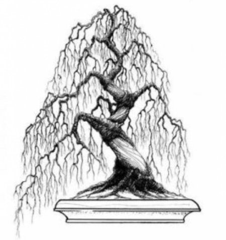 Дерево эскиз