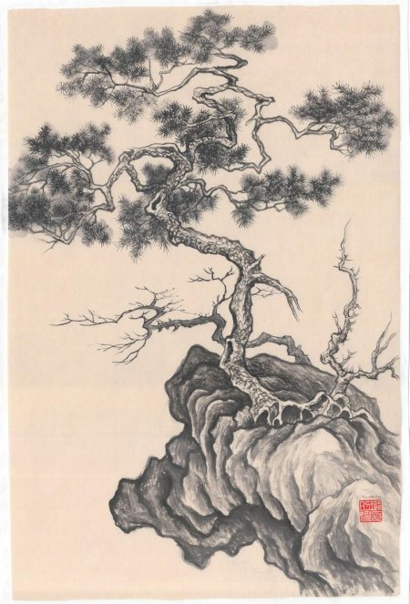 Ксилография японская сосна