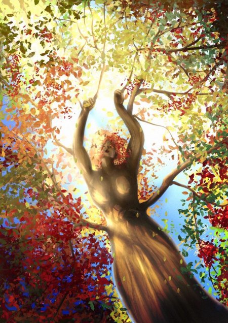 Девушка дерево