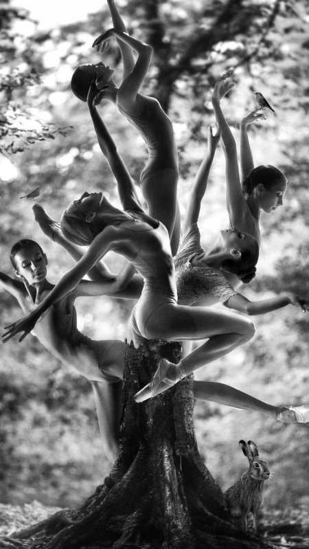 Танец балерины