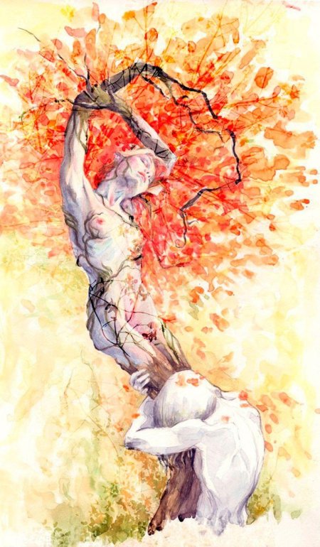 Женщина дерево