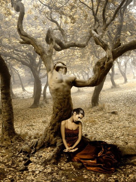 Мужчина дерево