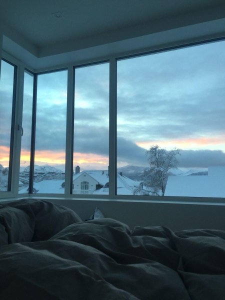 Окно вид из комнаты