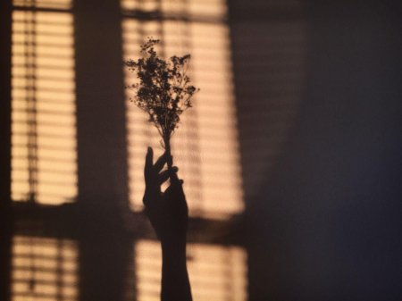 Эстетика прекрасного