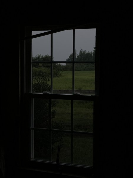 Вид из окна