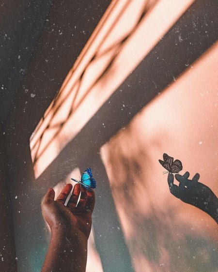 Жизнь эстетика