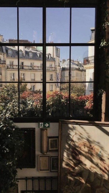 Вид из окна дома