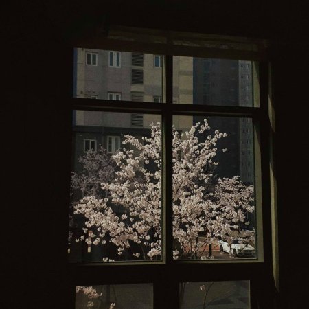 Эстетика окна