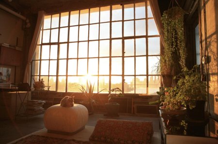 Атмосферная комната