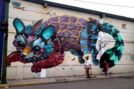 Фарид руэда граффити