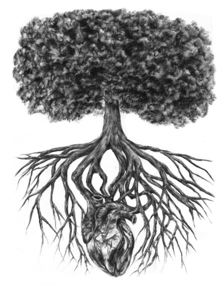 Дерево с корнем