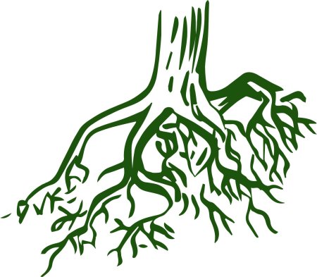 Корень рисунок