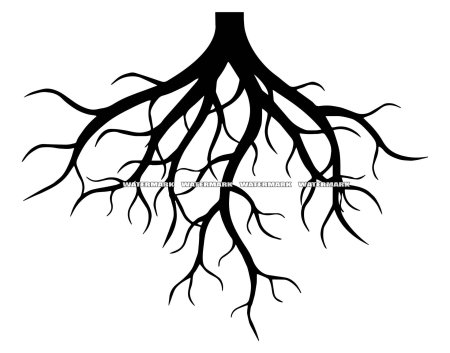 Дерево с корнем