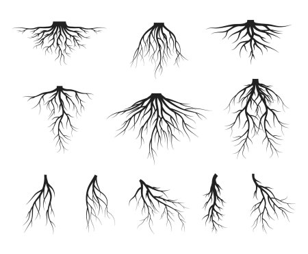 Корни эскиз