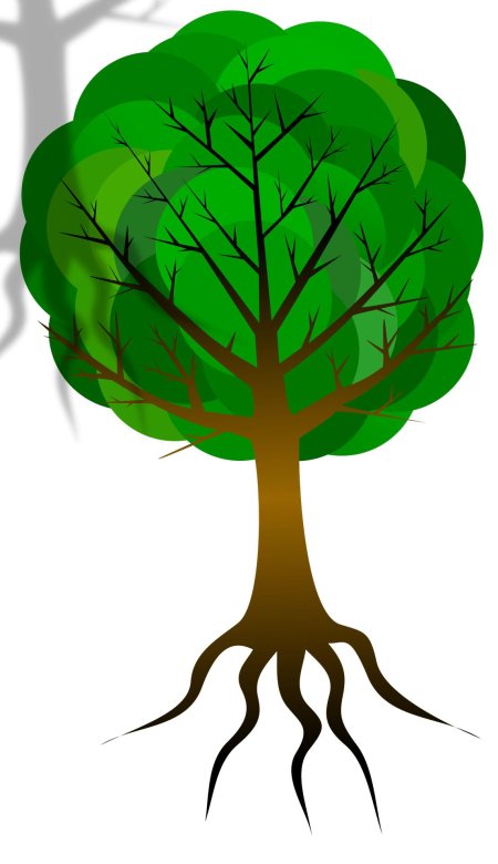 Дерево клипарт
