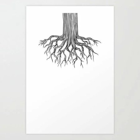 Корень рисунок