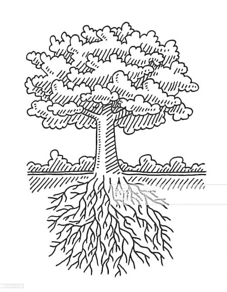 Дерево с корнями раскраска