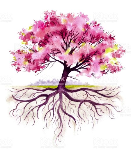 Цветущее дерево