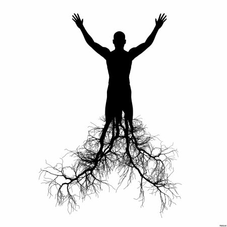 Дерево человек