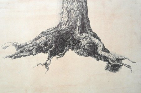 Дерево зарисовка