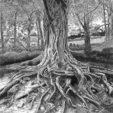 Корни у дерева