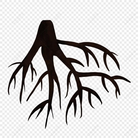 Корень дерева рисунок