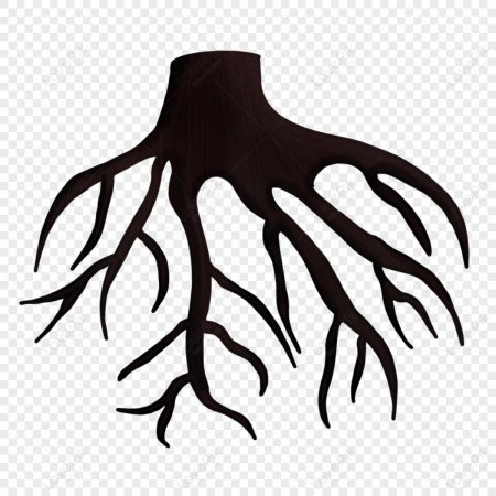 Корень дерева рисунок