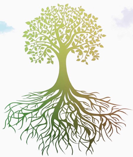 Дерево с корнем