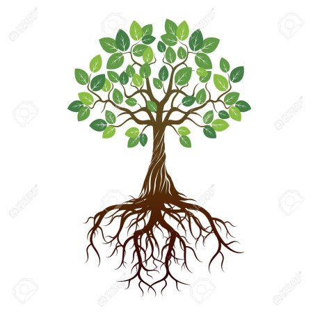 Дерево с корнем