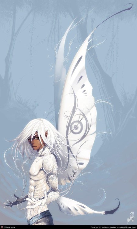 Крылатые эльфы