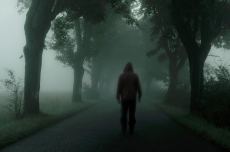 Человек в темном лесу