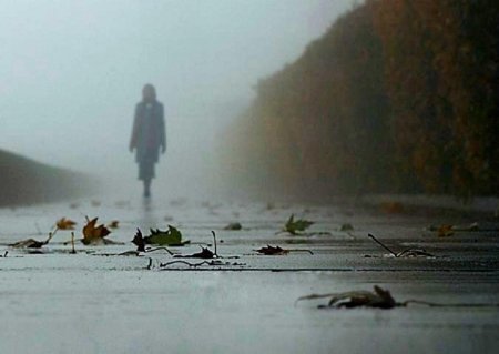 Осень одиночество