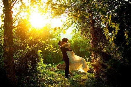 Сказочный лес любви