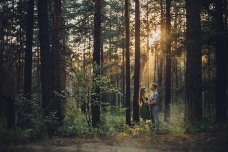 Фотосессия в сосновом лесу