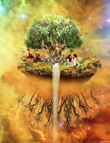 Дерево эзотерика