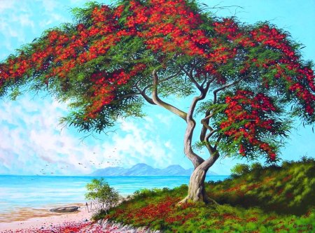 Королевский делоникс дерево